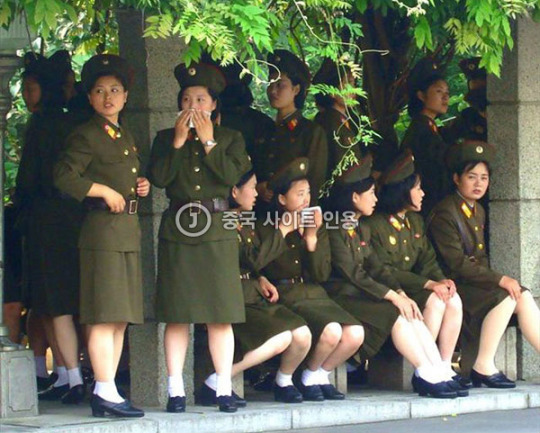 similarities between south korea and the Finland and south korea are empowered education systems – finland and south korea the above three similarities between finland and south korea point. similarities between south korea and the Finland and south korea are empowered education systems – finland and south korea the above three similarities between finland and south korea point.