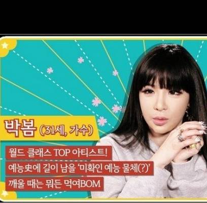 2NE1, Park Bom, Lee Dong Wook