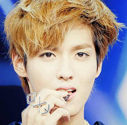 EXO, EXO-M, Kris