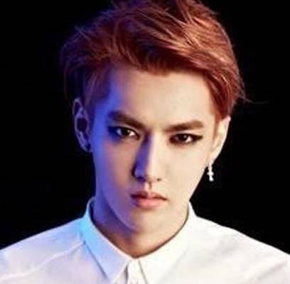 EXO, Kris