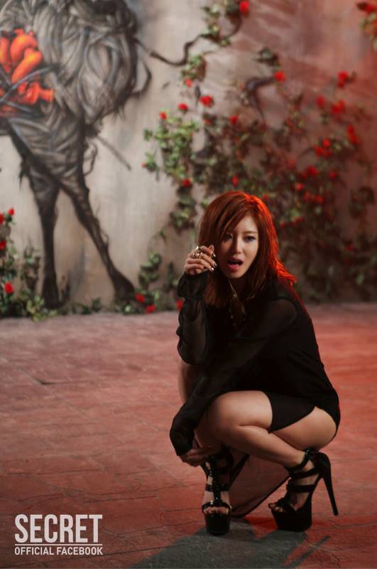 SECRET, Hyosung