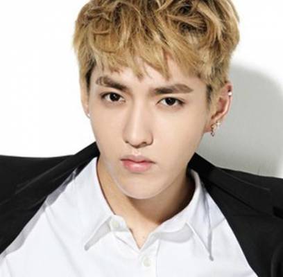 EXO, Kris