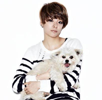 f(x), Amber