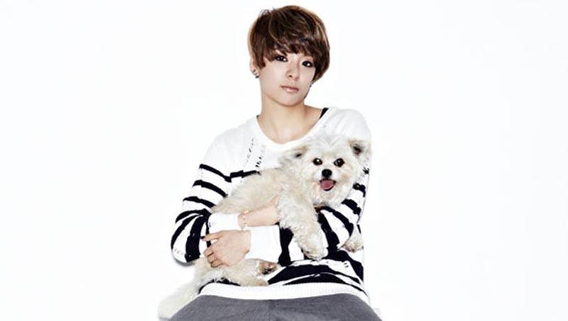 f(x), Amber