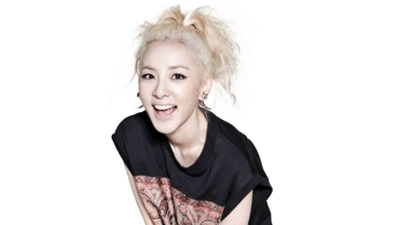 2NE1, Dara