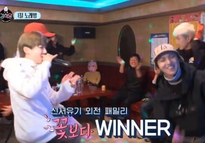 winner, Song Min Ho (Mino)