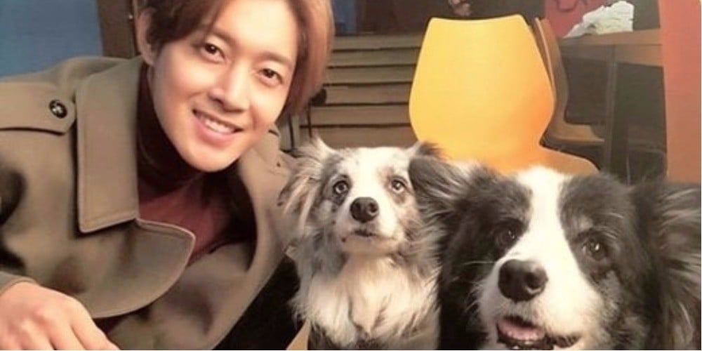 Kim Hyun Joong Shows Love For His Pups On Instagram Allkpop