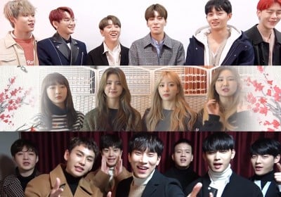 Hyejeong, Jo Kwon, HyunA, Boyfriend, BTOB, Dal Shabet, Woohee, EXID, Hello Venus, Nine Muses, TEEN TOP, Roy Kim, Henry, CLC, UP10TION, VAV, Pentagon, Gugudan, SF9, Top Secret (TST), Kriesha Chu, The Boyz, MXM, JBJ, Jung Se Woon, Yu Seon Ho (Yoo Seon Ho), , Target