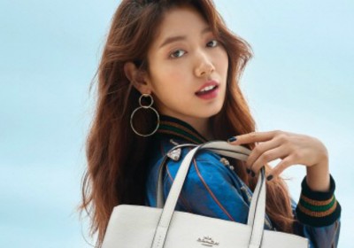 Park Shin Hye