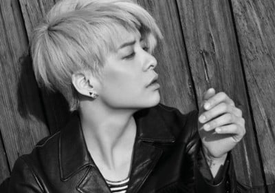 f(x), Amber