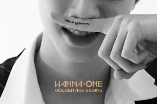 Wanna One members are covered in tattoos in latest 'Golden Age' teasers |  allkpop
