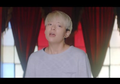 f(x), Amber