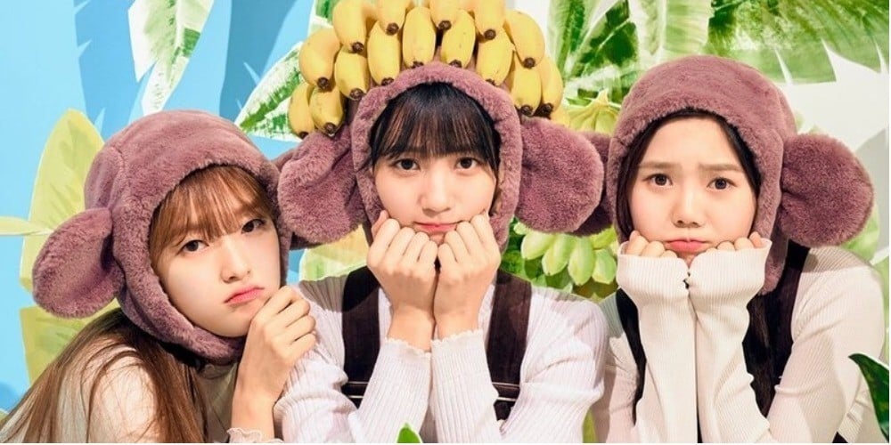 OH MY GIRL banhana Banana ALLERGY MONKEY