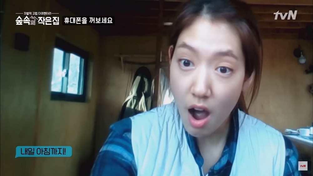 Park Shin Hye