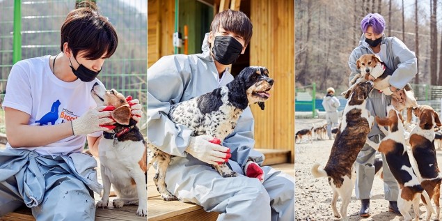 Snuper посетили приют "Beagle Rescue Network"