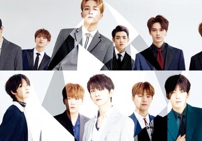 Seventeen announces official fan club name!