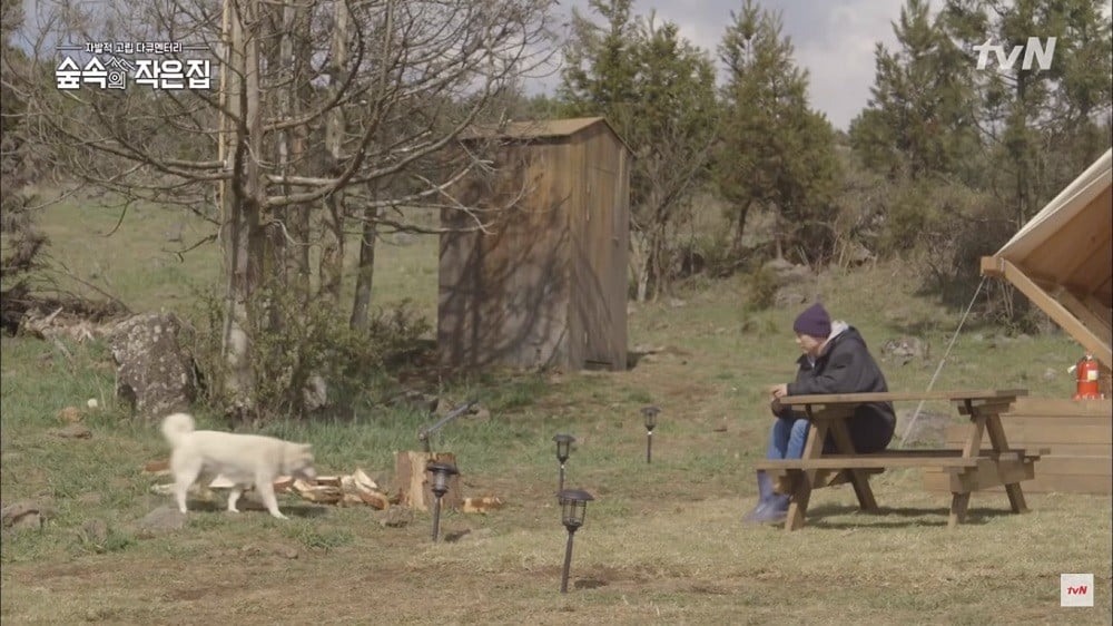 So Ji Sub forms a cute friendship with a dog on 'Little ...