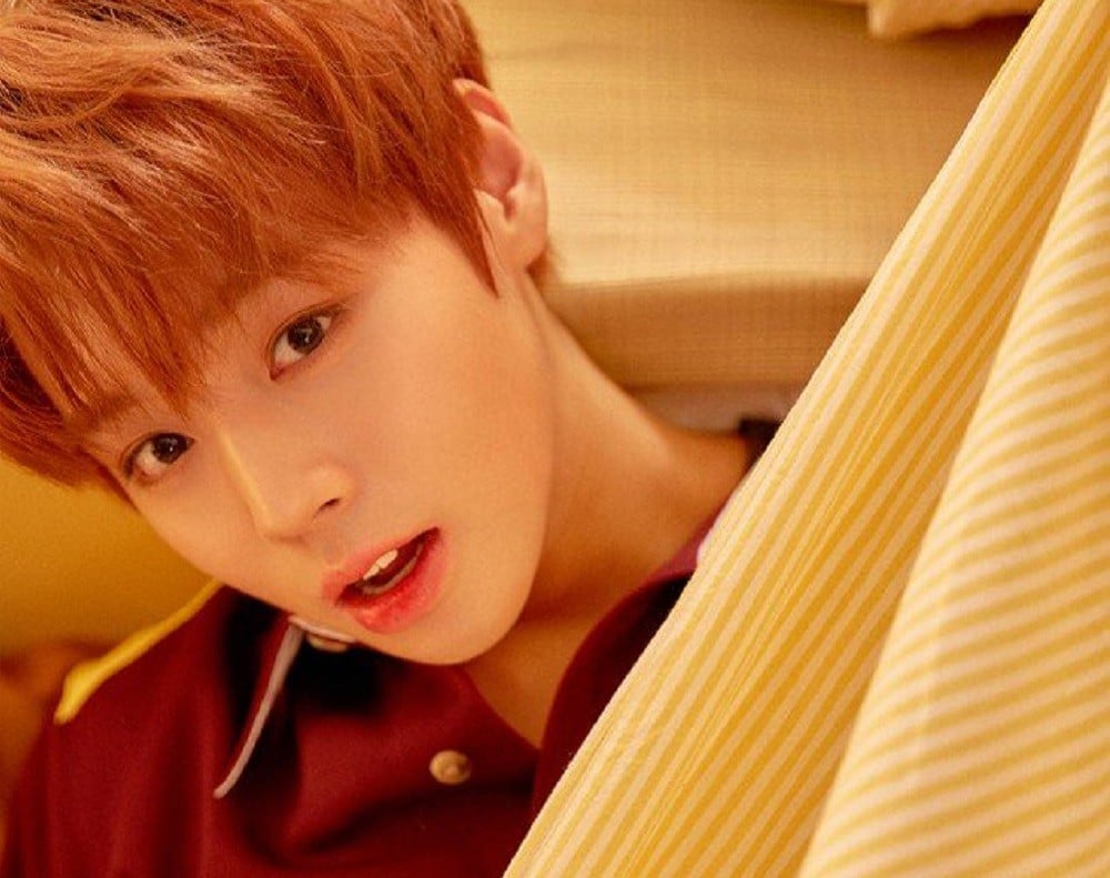 Wanna One, Park Ji Hoon