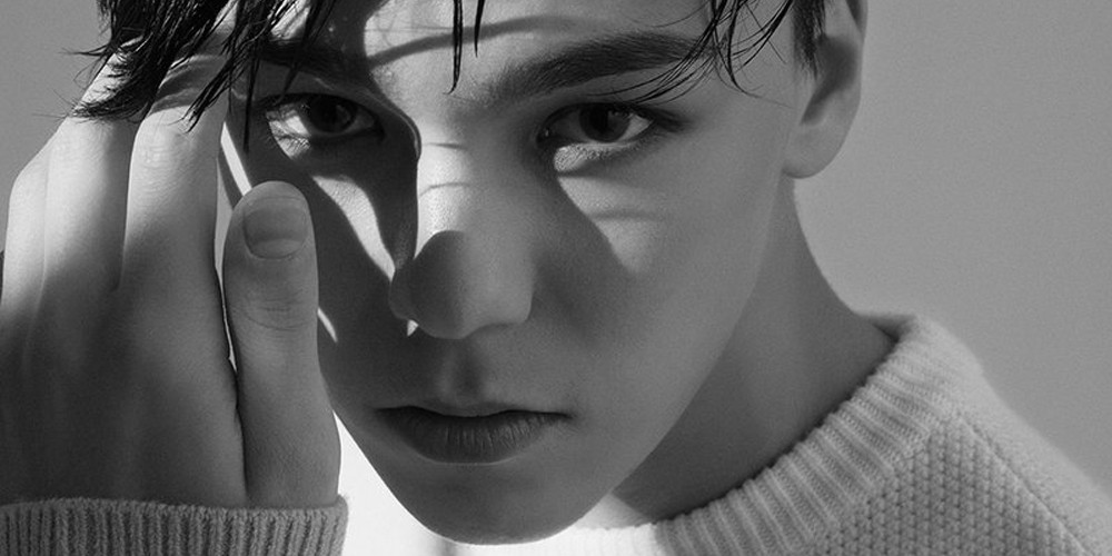 Seventeen, Vernon