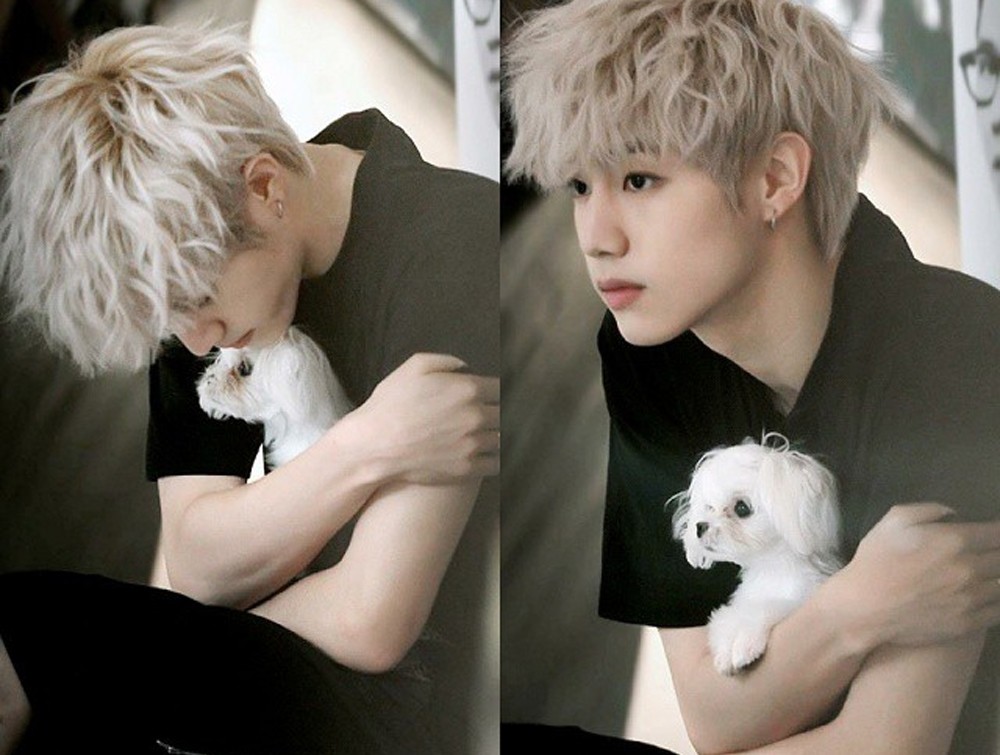 K Pop Idols Who Are Making Their Pets Insta Famous Allkpop