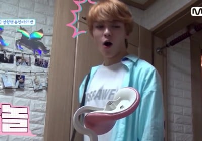 Seventeen, Vernon