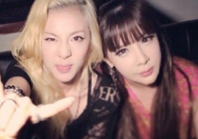 Park Bom, Dara