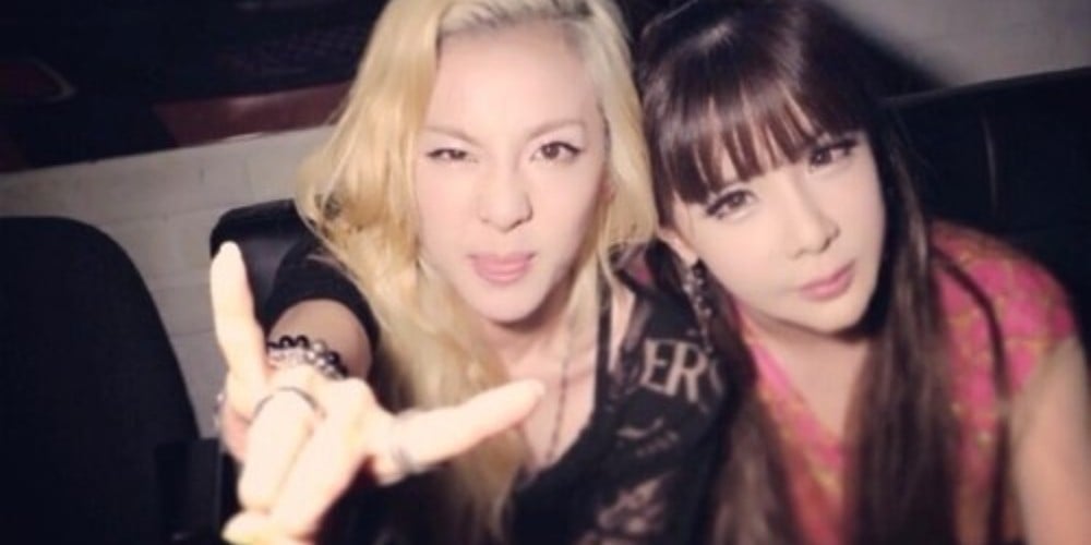 Park Bom, Dara