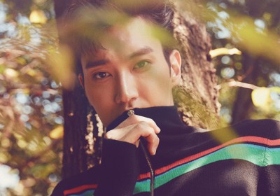 Super Junior, Siwon