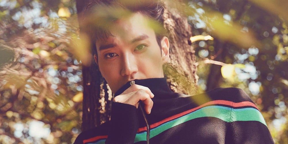 Super Junior, Siwon