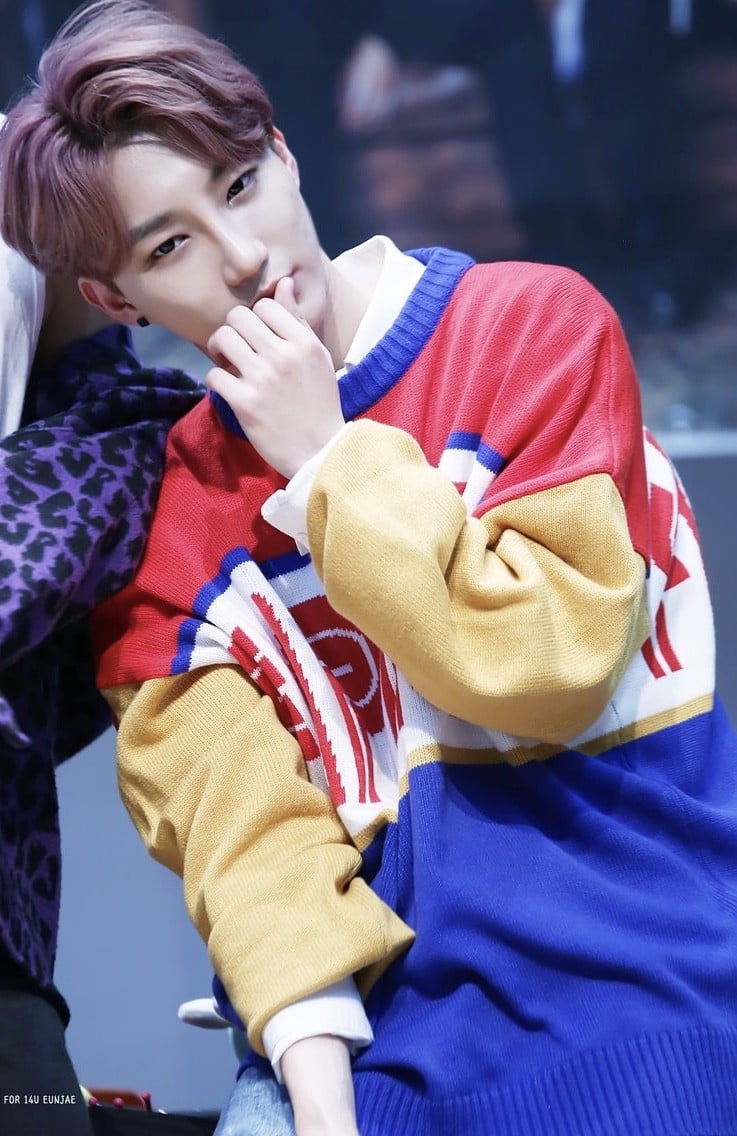 A.C.E, ATEEZ, Big Bang, BTS, V, Jungkook, Jimin, Jin, J-Hope, SUGA, RM (Rap Monster), D-Crunch, MONSTA X, Super Junior, 14U