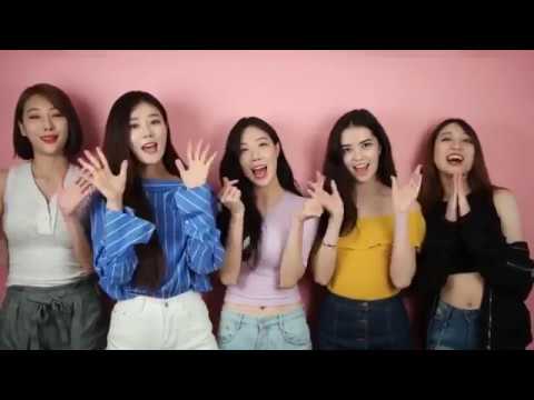 rania new line up revealed allkpop rania new line up revealed allkpop