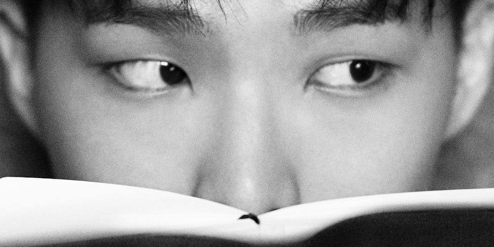 Akdong Musician's Chanhyuk to release his first ever novel, 'A Fish In
