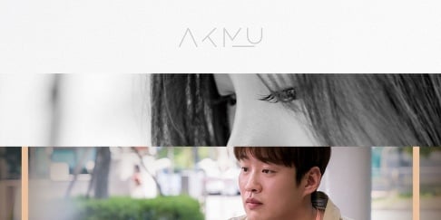 Akdong Musician (AKMU), BOL4 (Bolbbalgan4), Jang Bum Joon, Heize, Paul Kim, Song Haye