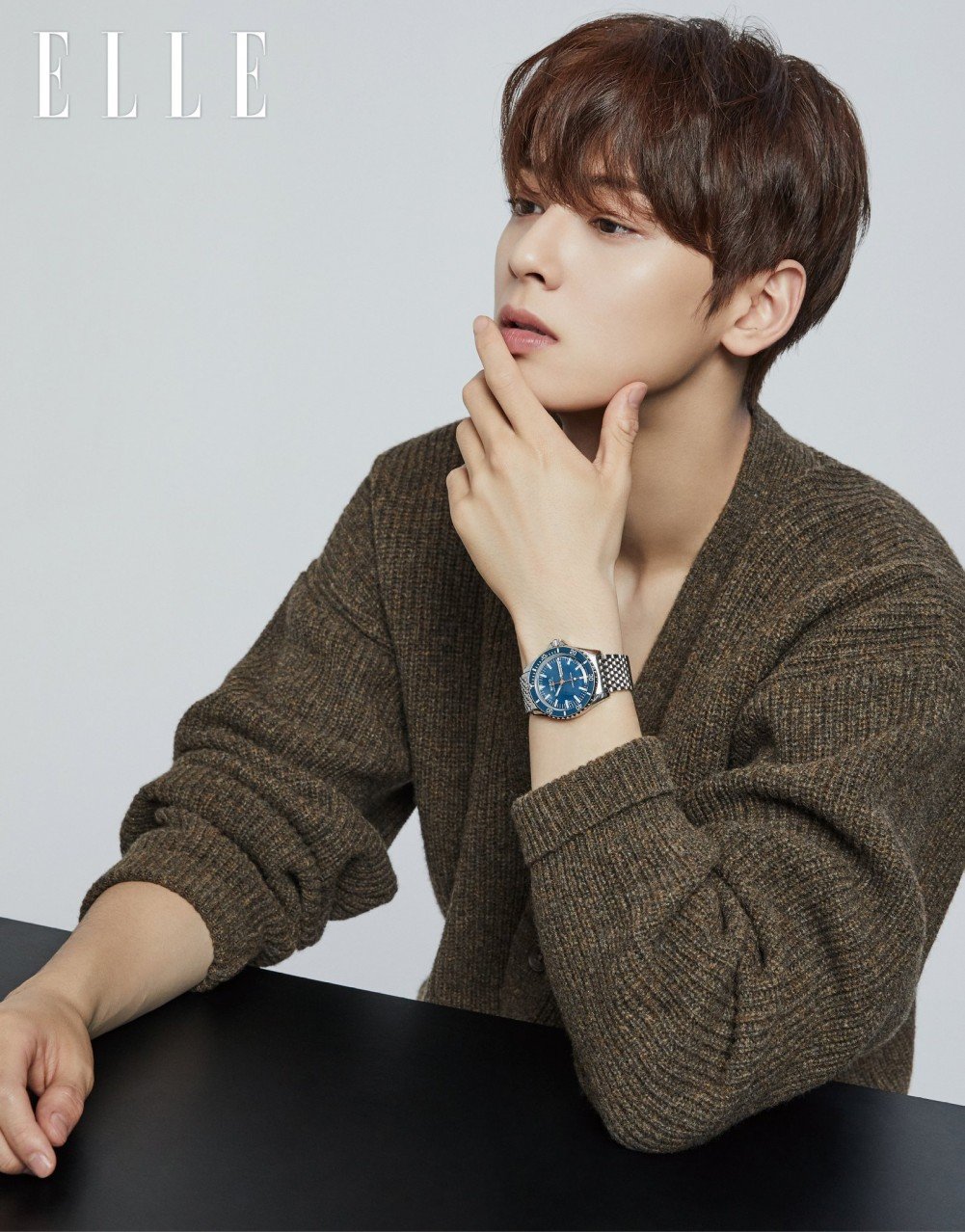 cha eun woo model