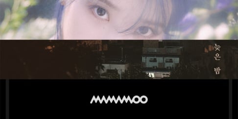Akdong Musician (AKMU), Jang Bum Joon, IU, MAMAMOO, Noel, Song Haye, Vibe