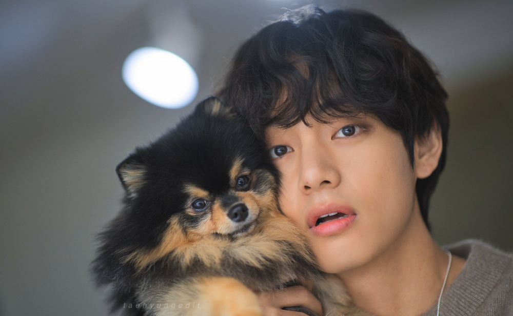 "WorldWide IT boy" BTS V turns 24 and armys makes sure no person will