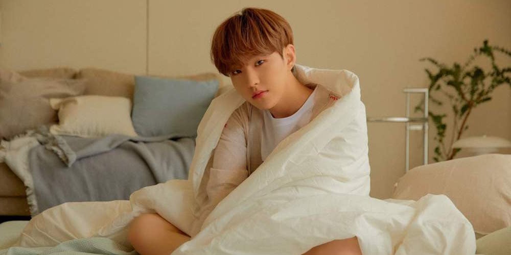 Seventeen's Hoshi surprises fans by jumping in during ...