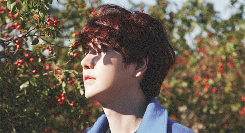 Park Myung Soo, Super Junior, Kyuhyun