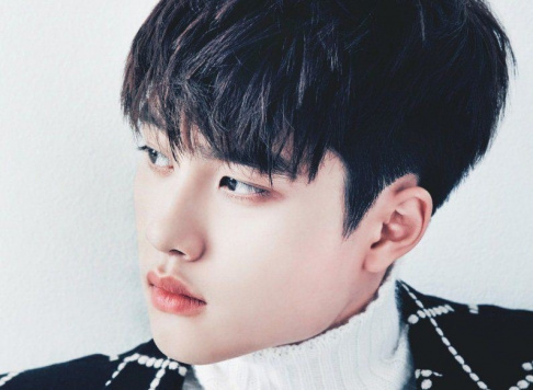 EXO, Doh Kyung Soo (D.O.), Kai