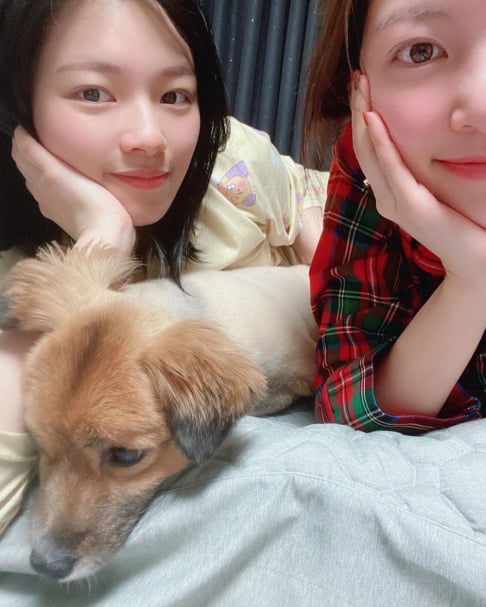 Gong Seung Yeon, Jeongyeon
