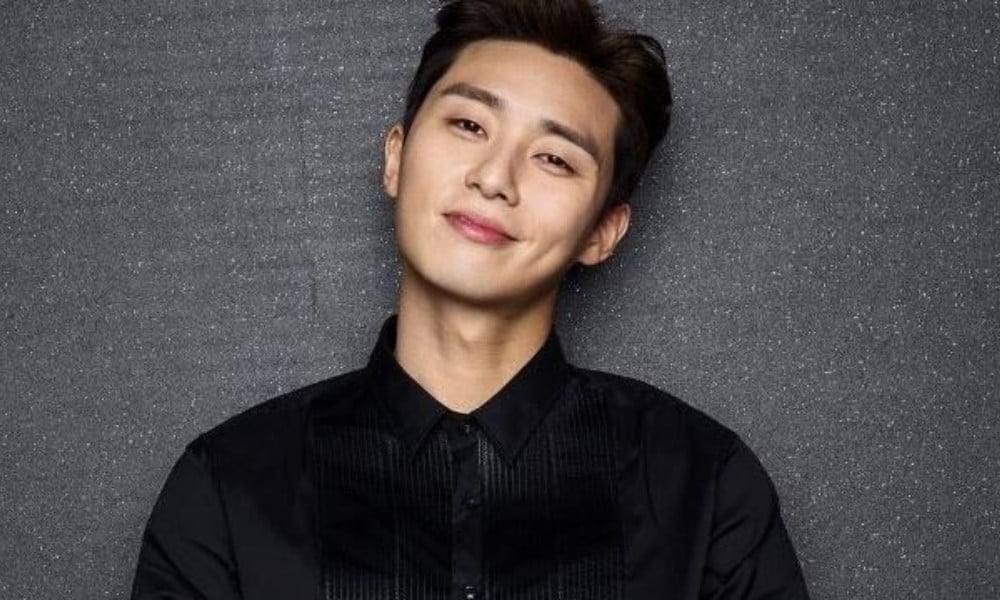 Jun Ji Hyun, Park Seo Joon