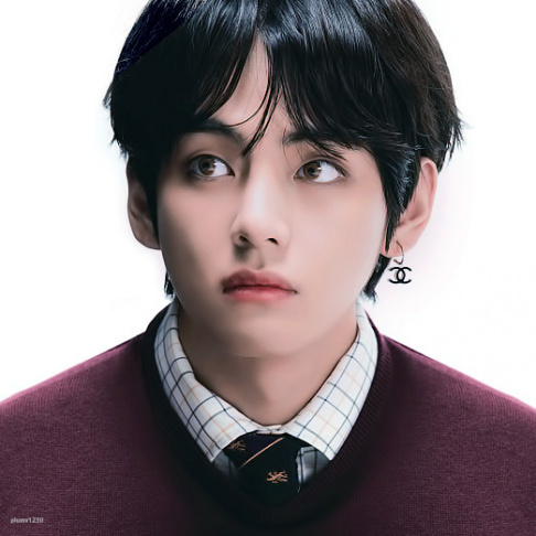 BTS, V