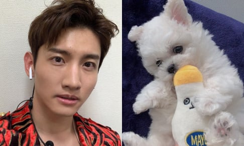 TVXQ, Changmin