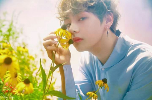 BTS, V