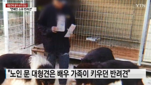 Собаки актера Ким Мин Гё напали на пожилую женщину