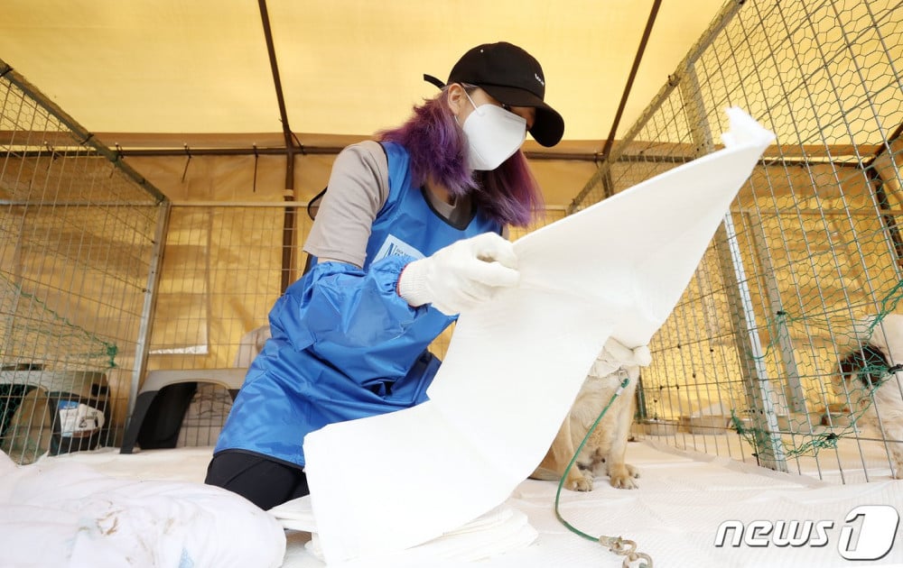 Чонён и Цзыюй из TWICE поработали волонтерами в приюте для животных