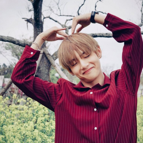 BTS, V