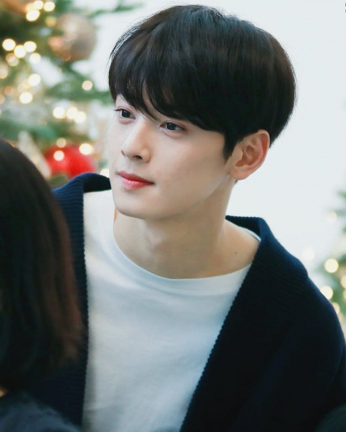 ASTRO, Cha Eun Woo