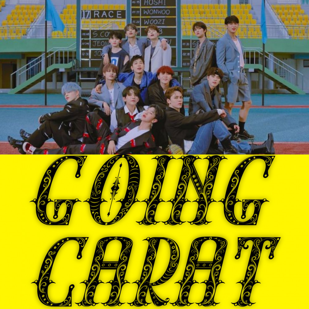 SEVENTEEN's fans now have their own variety show called GOING CARAT