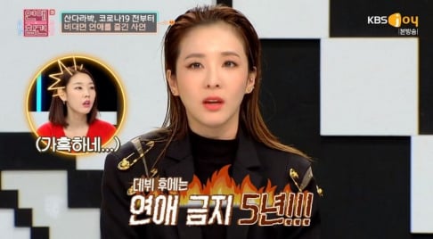 2NE1, Dara